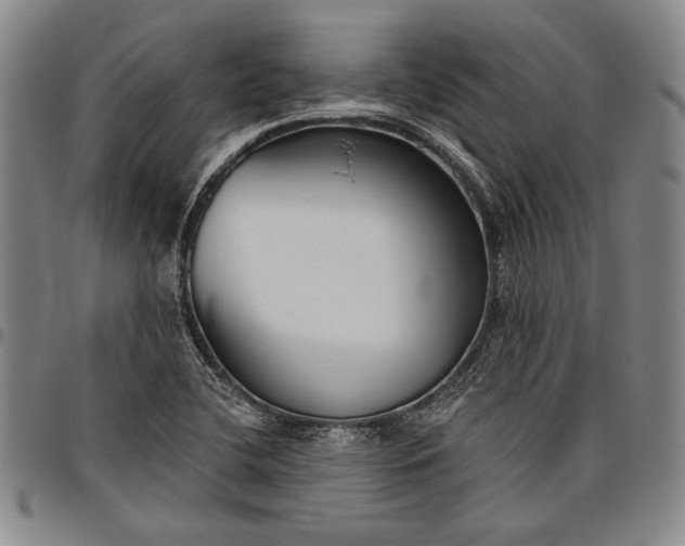 X0000096631412200802191146