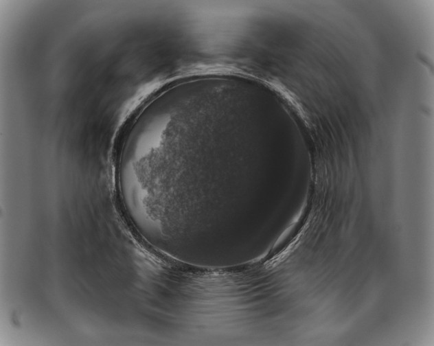X0000096631414200802191146