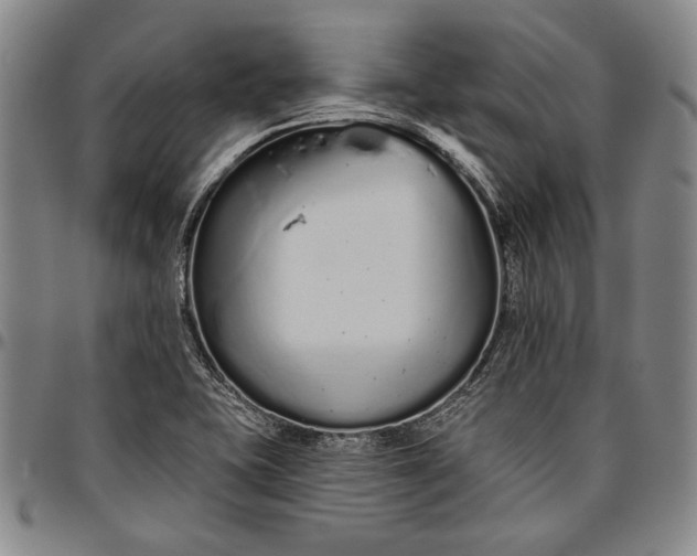 X0000096631415200802191146