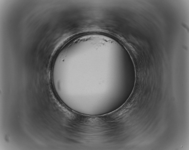 X0000096631416200802191146