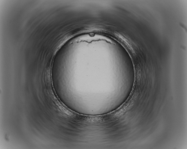 X0000096631417200802191146