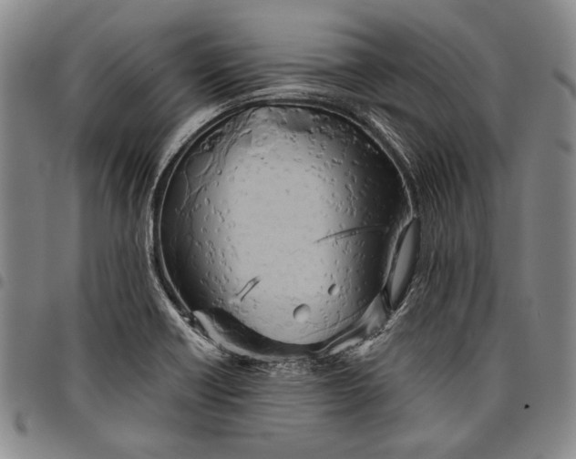 X0000096631418200802191146