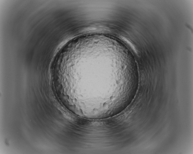 X0000096631419200802191146