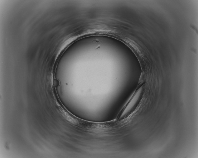 X0000096631420200802191146