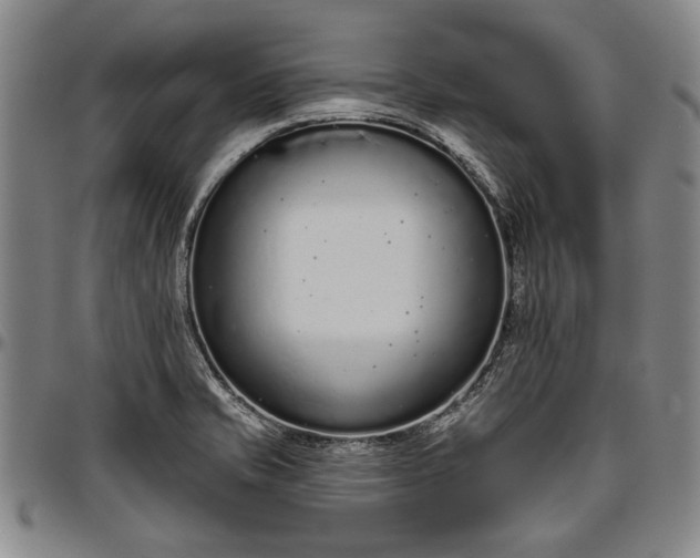 X0000096631421200802191146
