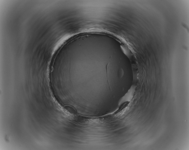 X0000096631422200802191146