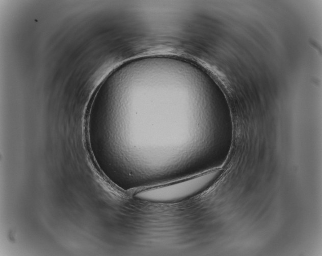 X0000096631423200802191146