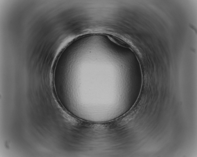 X0000096631424200802191146