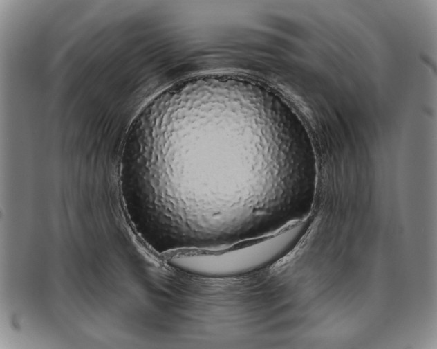 X0000096631425200802191146