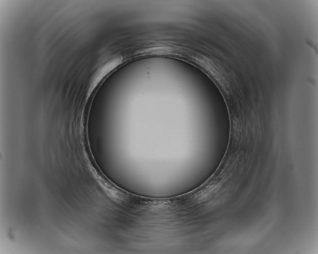 X0000096631426200802191146
