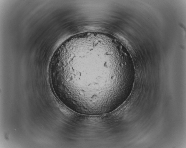 X0000096631427200802191146