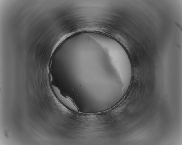 X0000096631428200802191146
