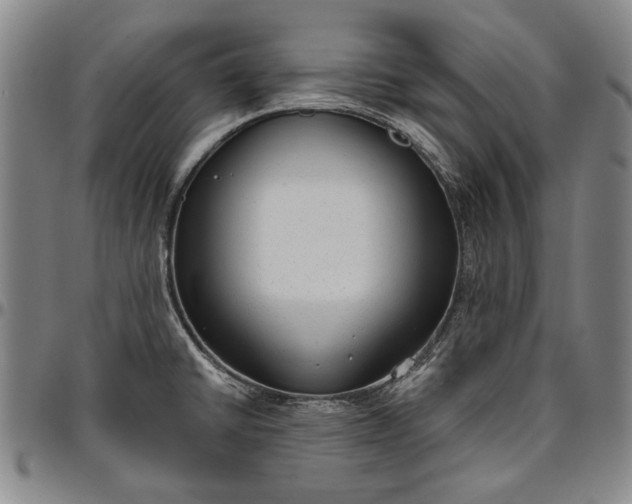 X0000096631430200802191146