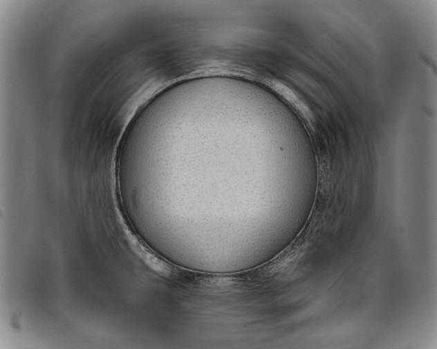 X0000096631431200802191146