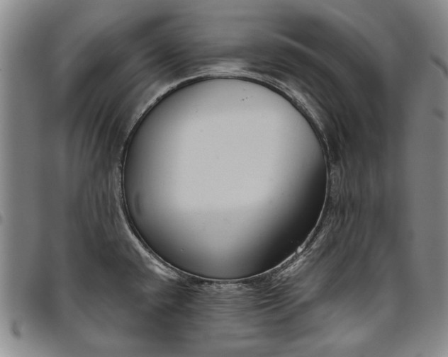 X0000096631432200802191146