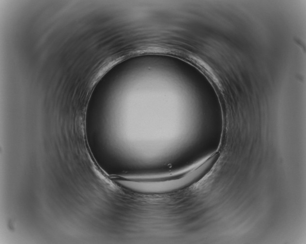 X0000096631433200802191146