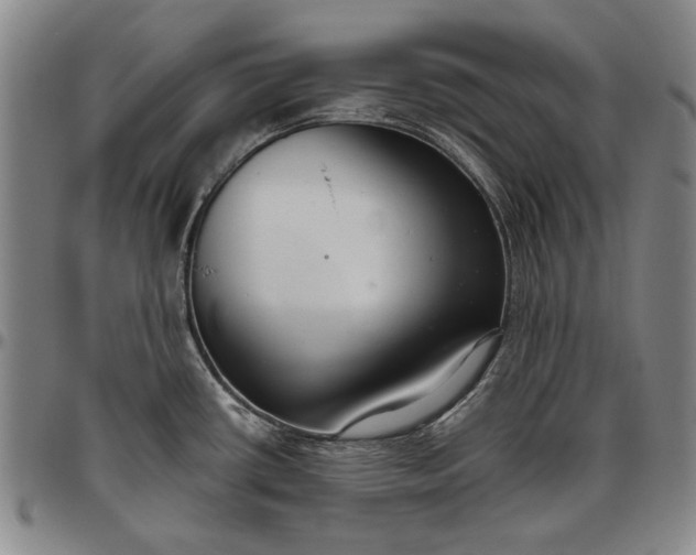 X0000096631434200802191146
