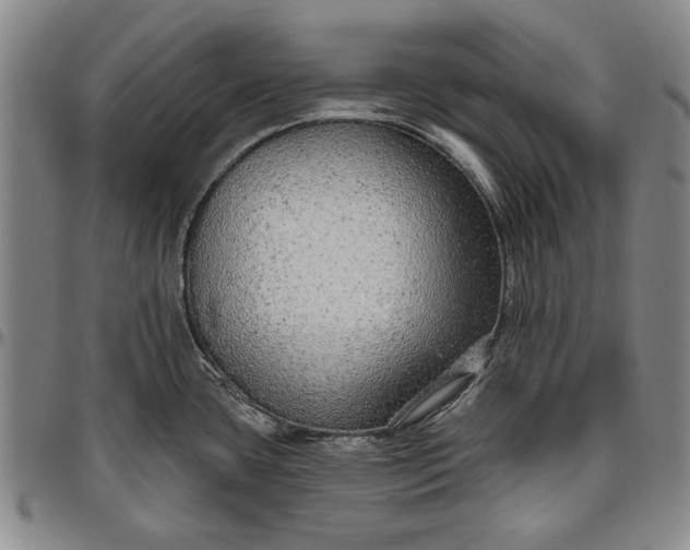X0000096631435200802191146