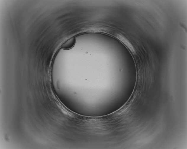 X0000096631436200802191146