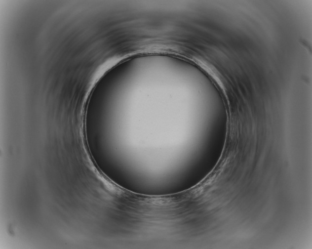 X0000096631437200802191146