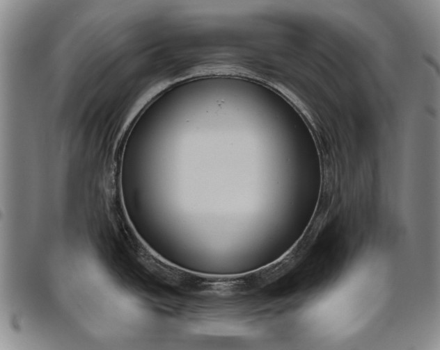 X0000096631438200802191146