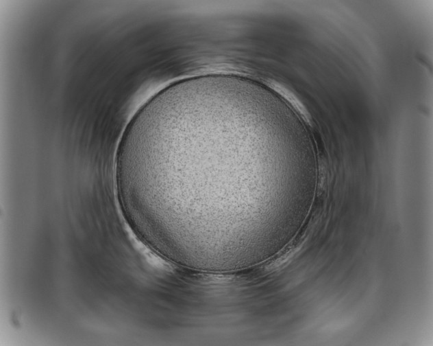 X0000096631439200802191146