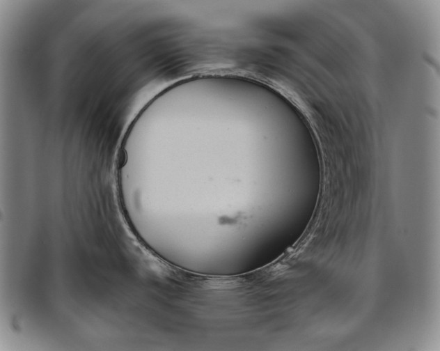 X0000096631440200802191146