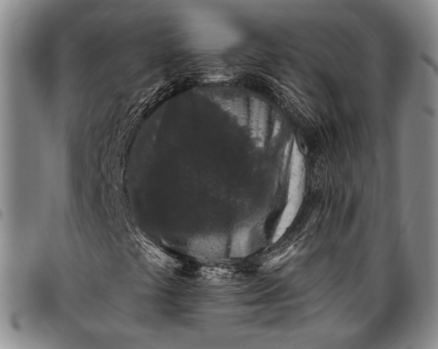 X0000096631441200802191146