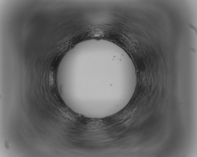 X0000096631442200802191146