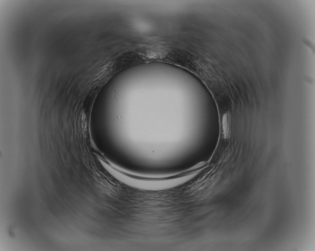 X0000096631443200802191146