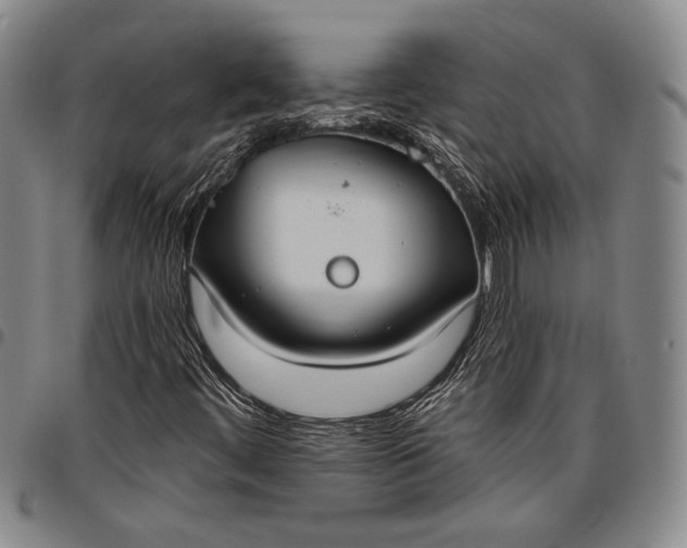 X0000096631444200802191146