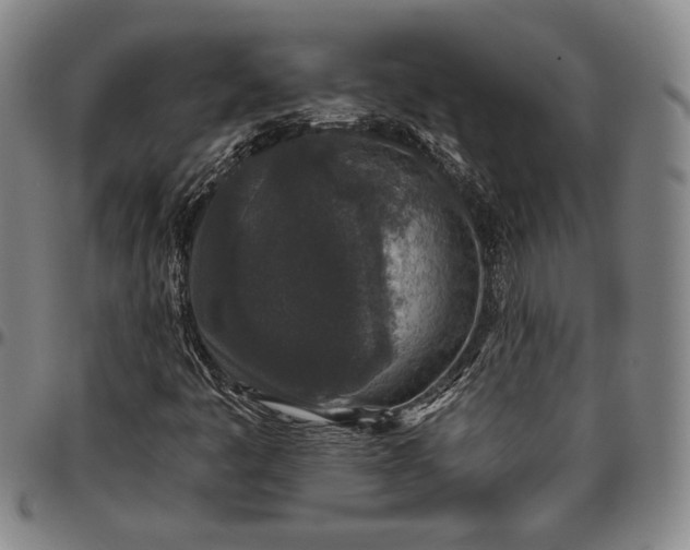X0000096631445200802191146