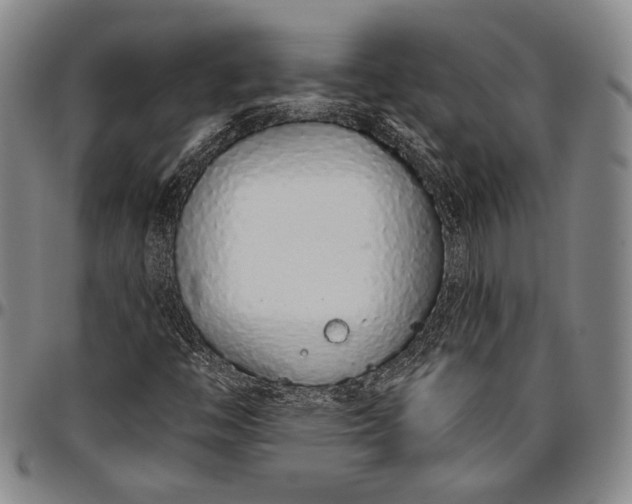 X0000096631446200802191146