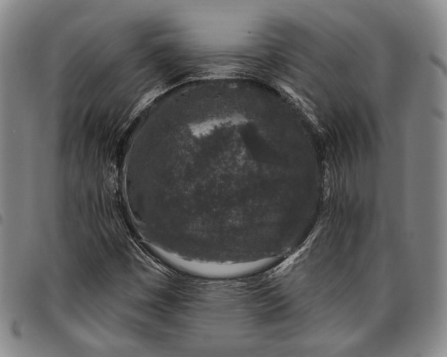 X0000096631449200802191145
