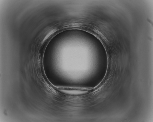 X0000096631450200802191145