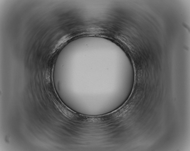 X0000096631451200802191145
