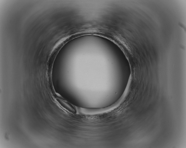 X0000096631452200802191145