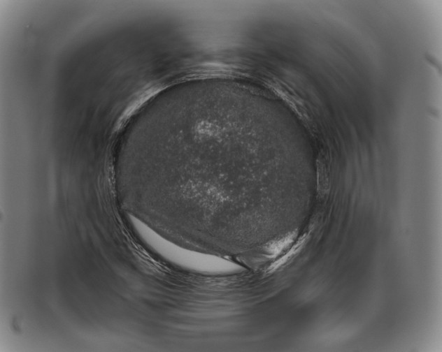 X0000096631453200802191145