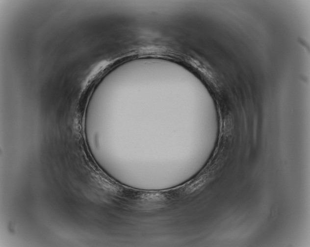 X0000096631454200802191145