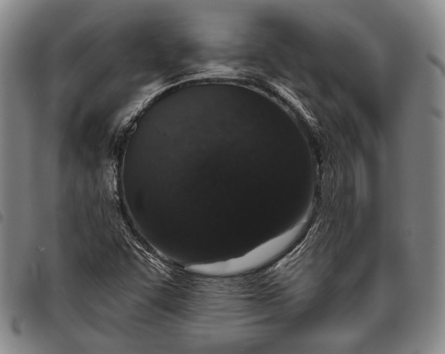 X0000096631455200802191145