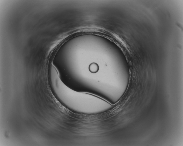X0000096631456200802191145