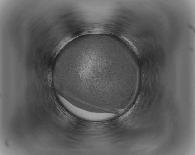 X0000096631457200802191145