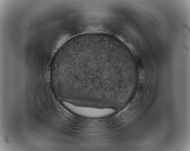 X0000096631459200802191145