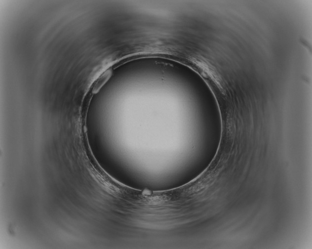X0000096631460200802191145