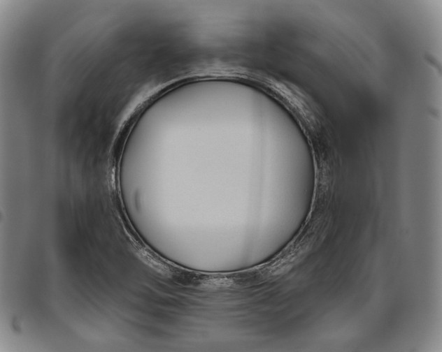 X0000096631462200802191145
