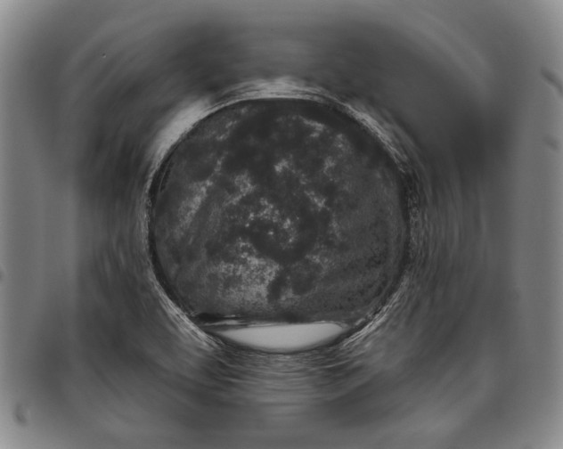X0000096631463200802191145
