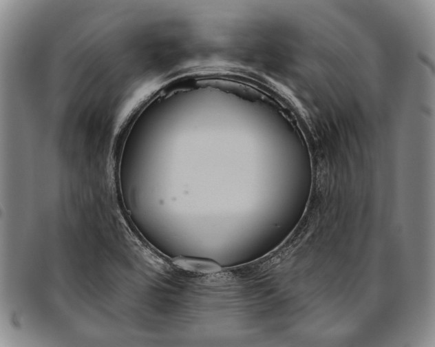 X0000096631464200802191145