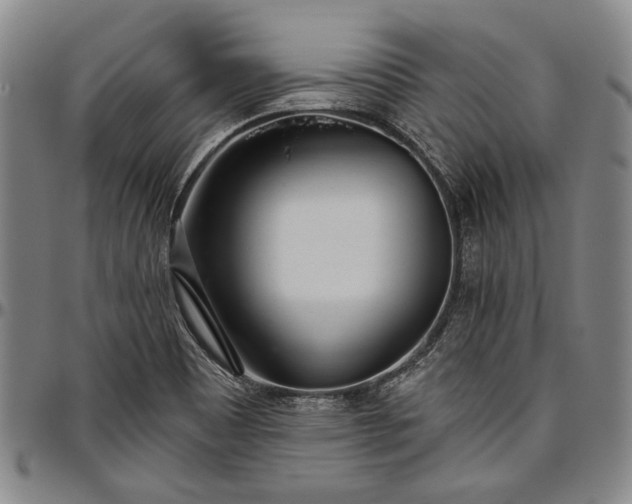 X0000096631465200802191145