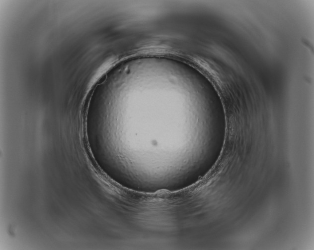 X0000096631467200802191145
