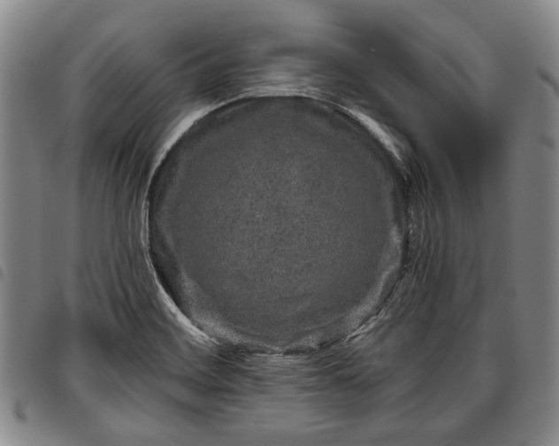 X0000096631468200802191145